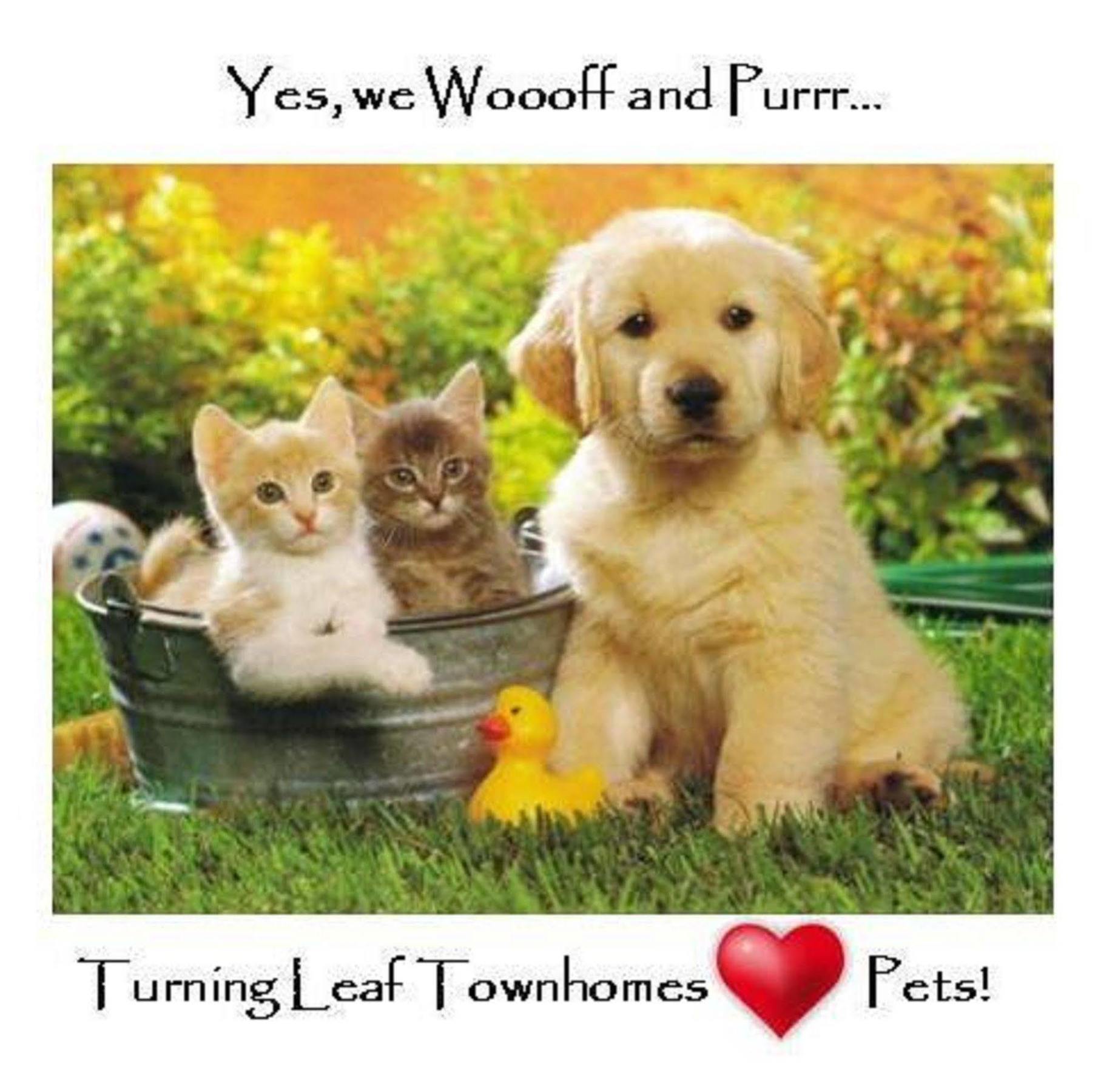 Turning Leaf Townhome Suites Fairwood Εξωτερικό φωτογραφία